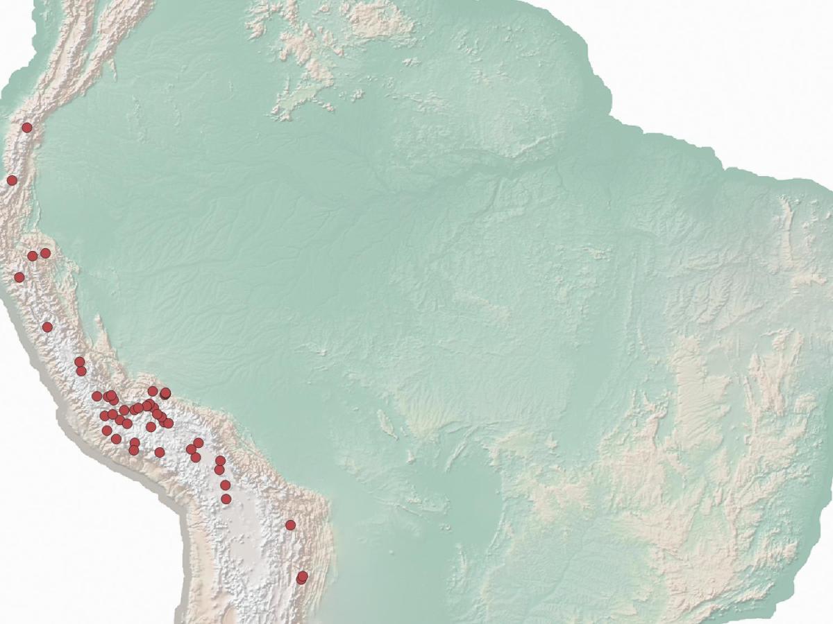 Plotting Pachakuti: Incan Conquest Sites in the Galvin&nbsp;Murúa